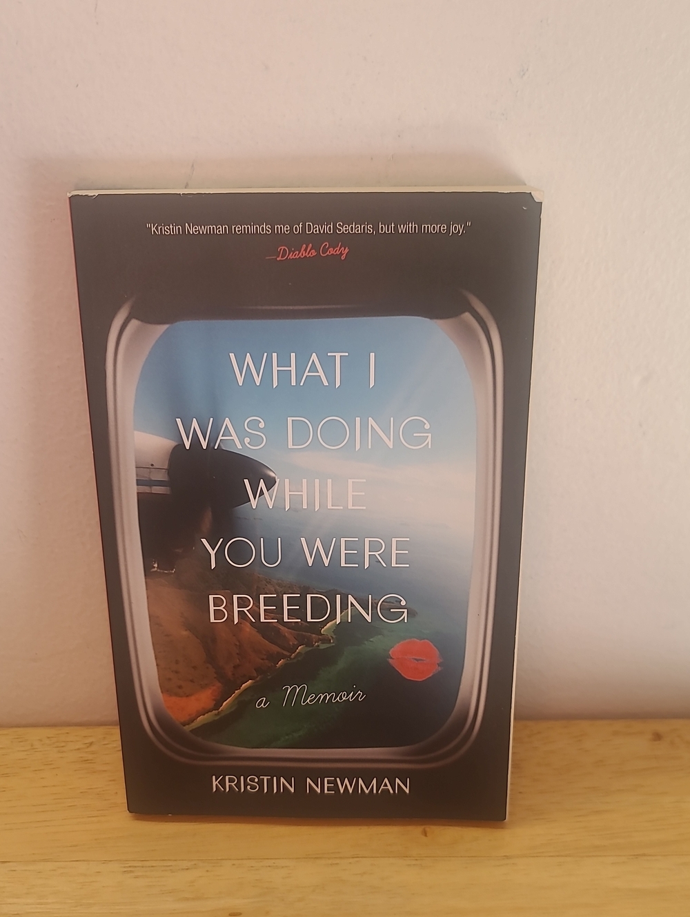 What I Was Doing While You Were Breeding by Kristin Newman